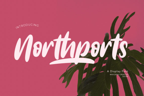 Northports: A Playful Display Font That Elevates Your Business Branding